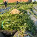 지혜농장 이미지