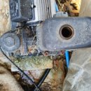 동준농장 이미지