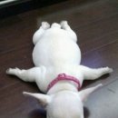 헬로스마일심리센터