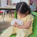 숲속의 농장 | 강원도 체험학습 대관령 숲속에 동물농장 먹이주기, 승마체험 / 아기랑