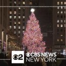 뉴욕 The 2023 Rockefeller Center Christmas Tree is officially lit 🎄 이미지