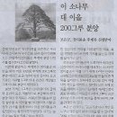 공짜나라 이미지