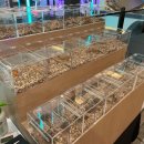 뉴런네이처