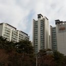 강남E편한공인중개사사무소 매일경제