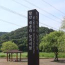 함안 대송리 늪지식물 | 함안 대송리 늪지식물 - 늪지식물을 보호하기 위해 천연기념물로 지정된 대한민국 유일의 늪^^