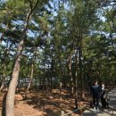 산림욕장 진입로 이미지