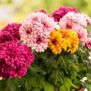 연천유치원 이미지