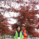 이박삼일 이미지