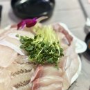 금성수족관 | 맛집 어디서 먹어야 할까? 바가지 없는 수산집 | 가락시장 대방어 맛집 내돈내산 솔직후기 (서이추 환영)