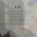 거래중/구몬학습 한글 유아책 42권(나눔있어요) 이미지