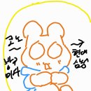 문화주 이미지