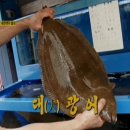 천하회집 이미지