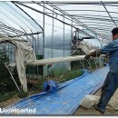 다해농장 이미지