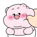 버터넛 | 프리미넛 우도땅콩버터 후기 100% 무첨가라 더 믿고 먹어요