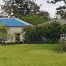 금악리경로당 이미지