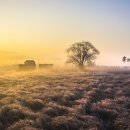 소래습지생태공원 이미지