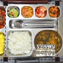 따뜻한 밥상 | 전주도시락배달 위대한밥상 집에서 따뜻한 집밥 도시락 후기