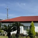 다람쥐민박 이미지