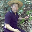 현대건강원 이미지