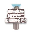 A0105 | 부들부들 에코랜드 바르는 치약 리뷰 -- 양치 싫어하는 강아지, 간편한 치아 관리! 애견 용품 치약 추천