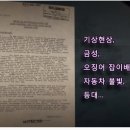 1978년 뉴질랜드 역대급 UFO 사건 이미지