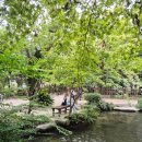 수원-0018 | 후쿠오카 가볼만한곳 락수원 楽水園 라쿠스이엔 다도체험