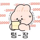 바하 고양이 병원 이미지