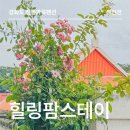 서각 | <강화도펜션> 힐링팜스테이, 나만 알고 싶은 전통가옥민박