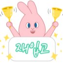 레옹안경콘택트 이미지