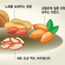 견과류 과다섭취 많이 먹으면 생기는 부작용 하루 섭취량 이미지