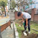 서울신양초등학교 이미지