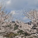 센트럴성형외과의원 이미지