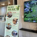 티카페하동 | 구례하동 여행 코스로 좋은, 티카페하동 녹차 후기