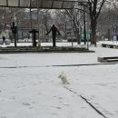 석촌호수동물병원 이미지