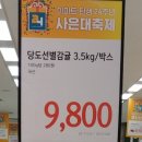 돌빌레 이미지