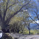 아원산방 이미지