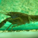 한서아쿠아 이미지