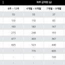 웰니스포뮬러