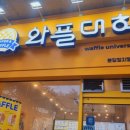 와플대학분당정자캠퍼스