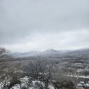 삼귀해안(스타벅스앞) | 제주도 가족여행 후기 3 (마지막날) - 한라산 1100고지 / 주상절리 / 문섬 범섬 / 용두암 / 제주 스타벅스