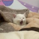 동아사우나 이미지