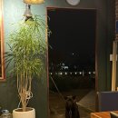 수수민박 이미지