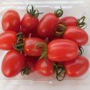 전환기유기재배 대추방울토마토 50% 맛보기 이벤트 이미지