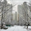 남구-029 이미지