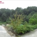 대병면사무소 이미지