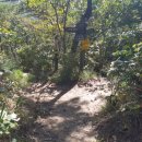 탑골약수터 이미지