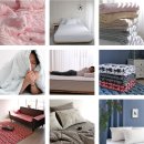 광주세종 이미지