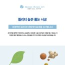 검성로-8 이미지