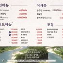 동강맑은송어 네이버블로그