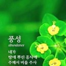 이초석: 교회신문 ＞ 제 1175호 쓰지 않으면 악한 병에 걸린다 (전6:1~2) 이미지